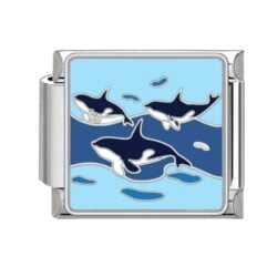 Whale Pod