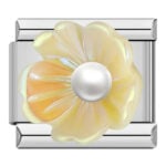 Yellow Flower and its Pearl