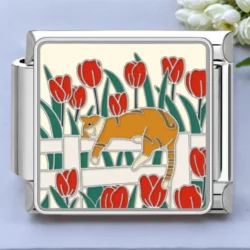 Tulip Tabby Charm