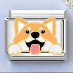Cheeky Shiba Charm
