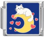 A Kitten‘s Dreamwalk Charm Set