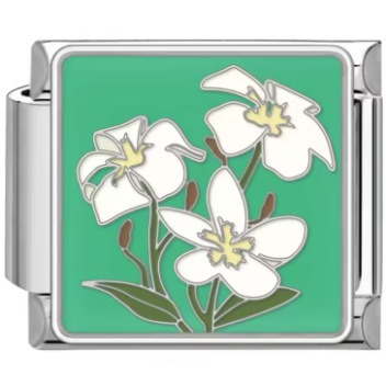 The Botanical Quartet