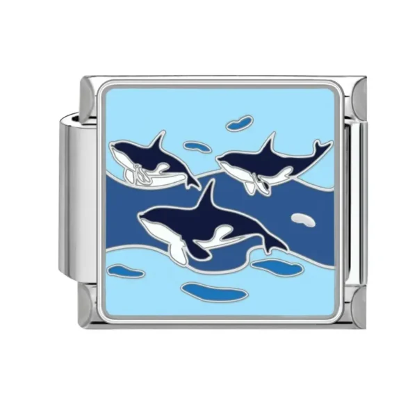 Playful Orca Family